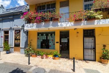 Santo Domingo City Tour: Colonial City, Los Tres Ojos, Lunch