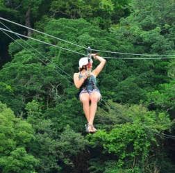 Private: Canopy Zip-Line Adventure in Punta Cana - Photo 4 (Gallery view)