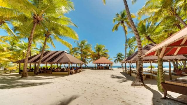 Saona Island All Inclusive Tour