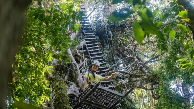 The Original Canopy Tour Monteverde - Dominican Republic