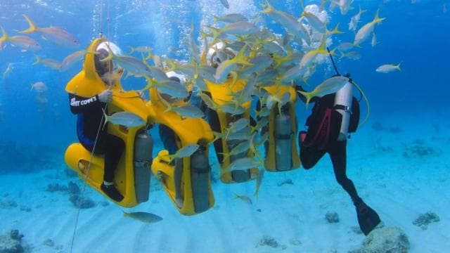Punta Cana: ScubaDoo Sualtı Scooter Macerası - Photo 4 (Gallery view)