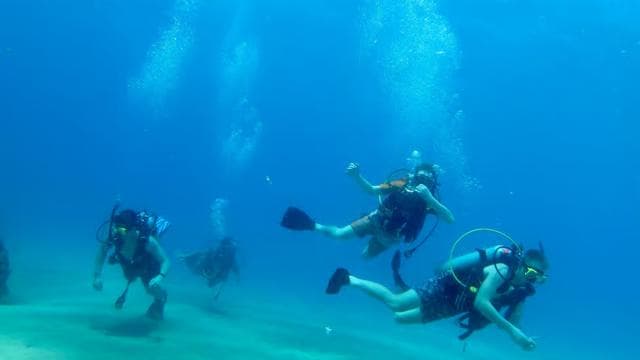 PUERTO RICO: Private Scuba Dive for Beginners! - Photo 4 (Gallery view)