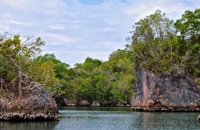 Adventure from Miches: Los Haitises, Caño Hondo, and Yanigua - Dominican Republic
