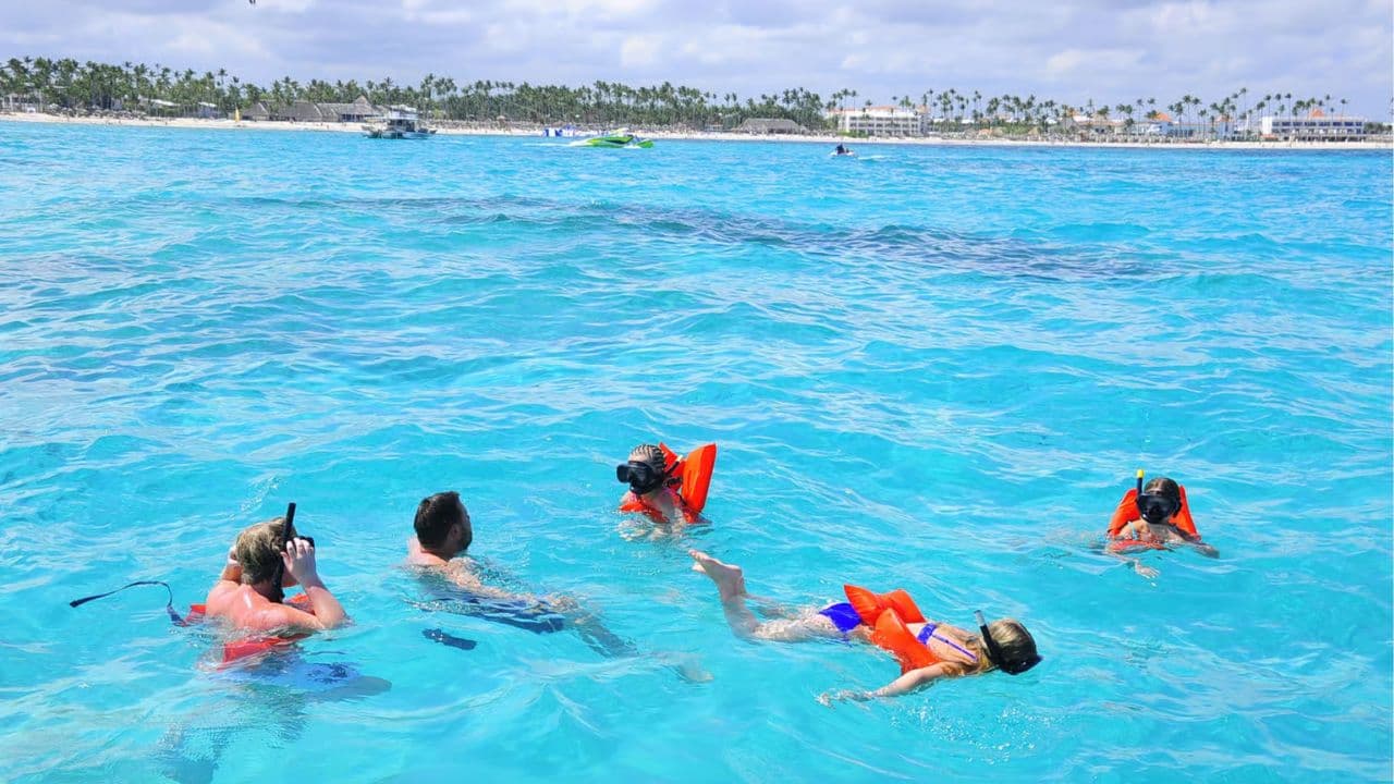 Punta Cana :Catamaran with Open Bar and Dolphin and Stingray Watching
