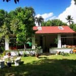 Puerto Plata: Taino Valley and Dominican Flavor Experience