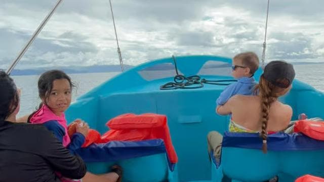 Puerto Jiménez: Dolphin Watching with a Snorkeling Stop - Dominican Republic