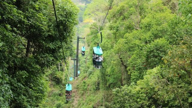 From Jaco: Aerial Tram Tour including Transportation