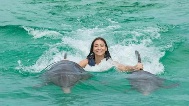 Punta Cana: Dolphin Action Program