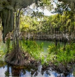 From Punta Cana To Santo Domingo: Tour History on the city
