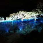 Bayahibe: National Park Jungle Walk & Snorkeling in Cenotes