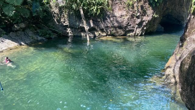 Secret Path to Tinajas Falls (El Yunque Rainforest) - Photo 3 (Gallery view)