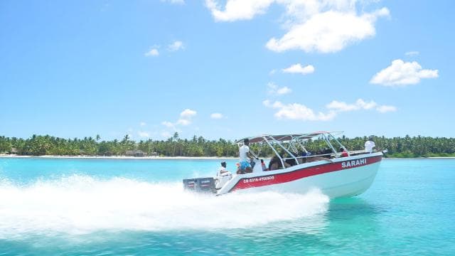 Saona Island Day Trip + Lunch + Open Bar from Punta Cana - Photo 4 (Gallery view)