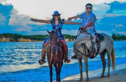 Punta Cana: Guided Horseback Tour of Beaches and Fields