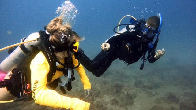 PUERTO RICO: Private Scuba Dive for Beginners! - Dominican Republic