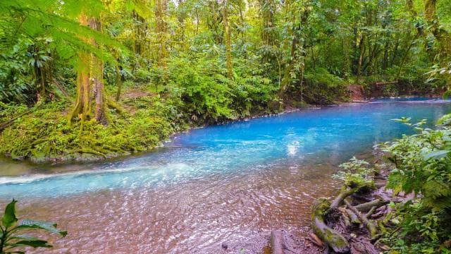 Rio Celeste Waterfall in Tenorio Volcano National Park