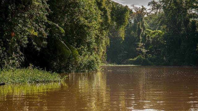 Tortuguero: Dobrodružství na kajaku přes kanály deštného pralesa. - Photo 3 (Gallery view)