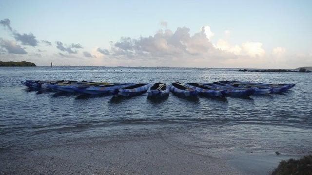 From San Juan: Bioluminescent Bay Kayak Adventure at Night