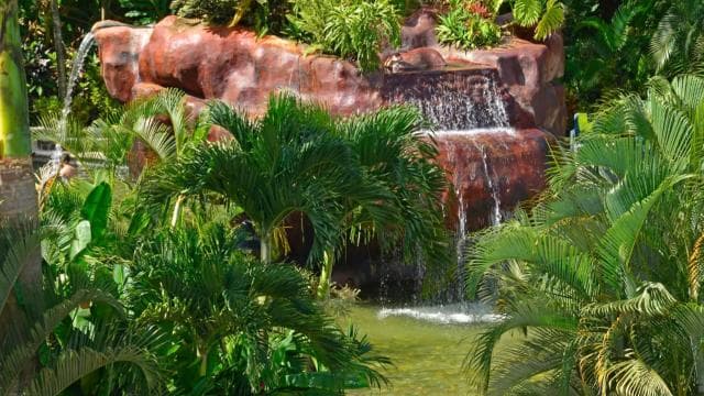 Costa Rica: Baldi Hot Springs Day Pass with Optional Meals