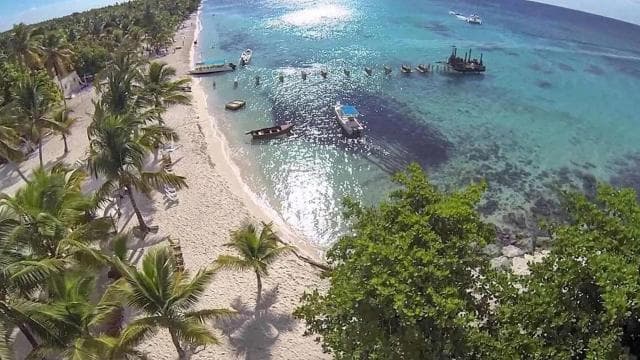 Saona Island: Relaxation Day Trip with Open Bar