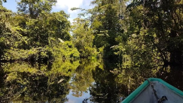 3-hour experience through the channels of the National Park.