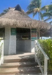 Private: Full-Day Catalina Reef & Beach Escape by Catamaran