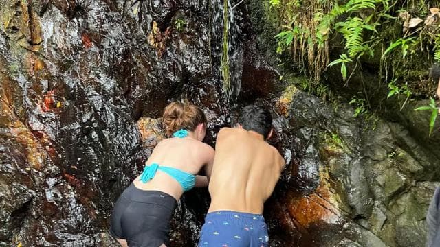El Yunque hike ,river and water slides excursion