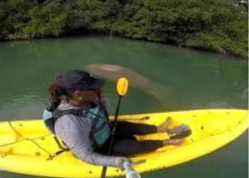Private: Kayak Adventure at Los Haitises Sunrise Exploration