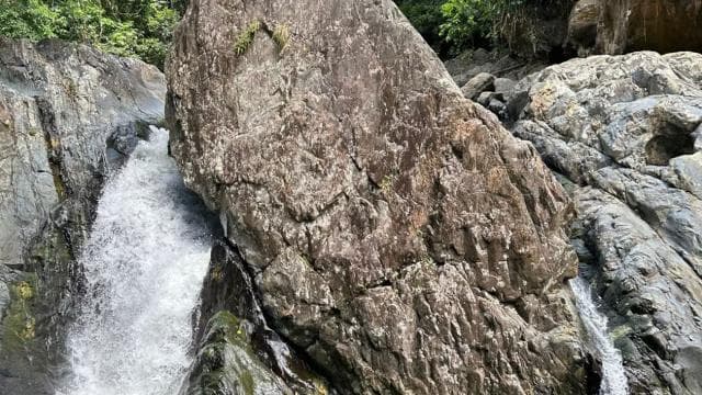 Self-Drive Half-Day Waterslide Yunque Tour - Photo 5 (Gallery view)