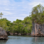 Los Haitises Boat Ride + Caño Hondo Natural Pools - Photo 3 (Gallery view)