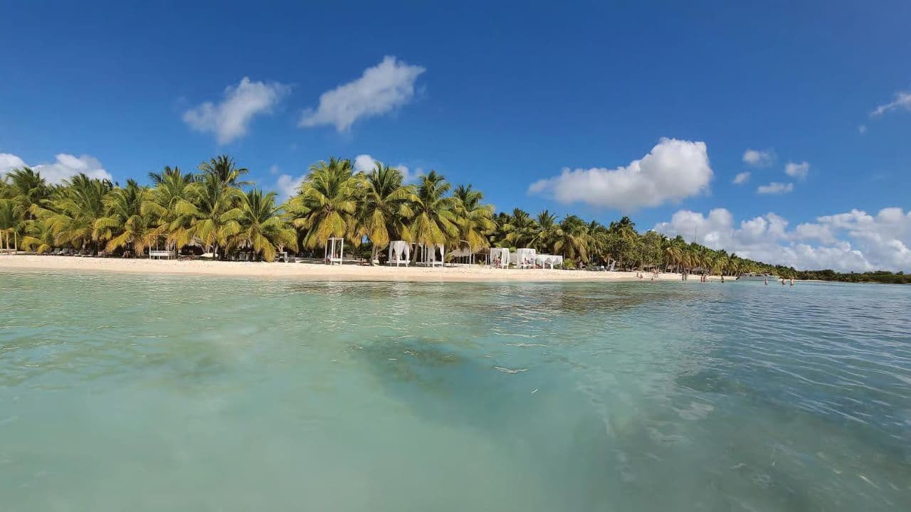 Punta Cana: Saona Island Full-Day Small Groups Tour