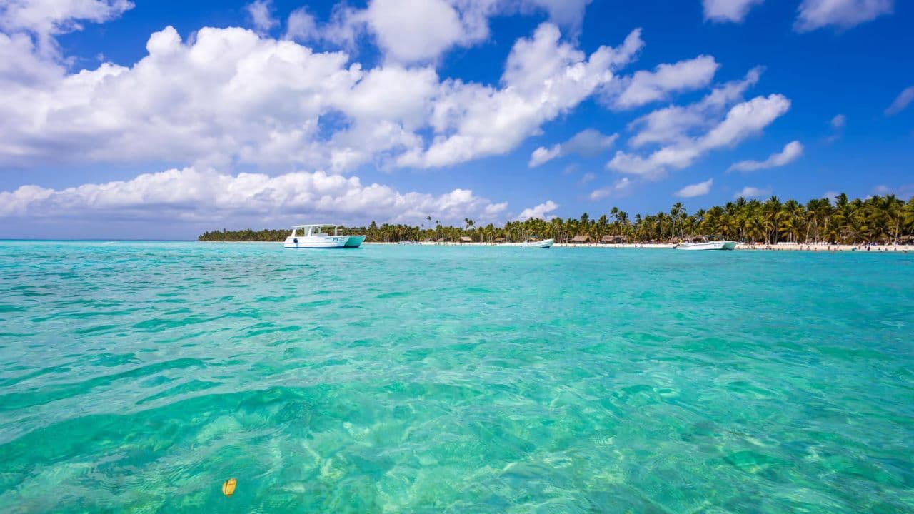 Saona Island: Full-Day Boat Tour with Drinks & Buffet Lunch