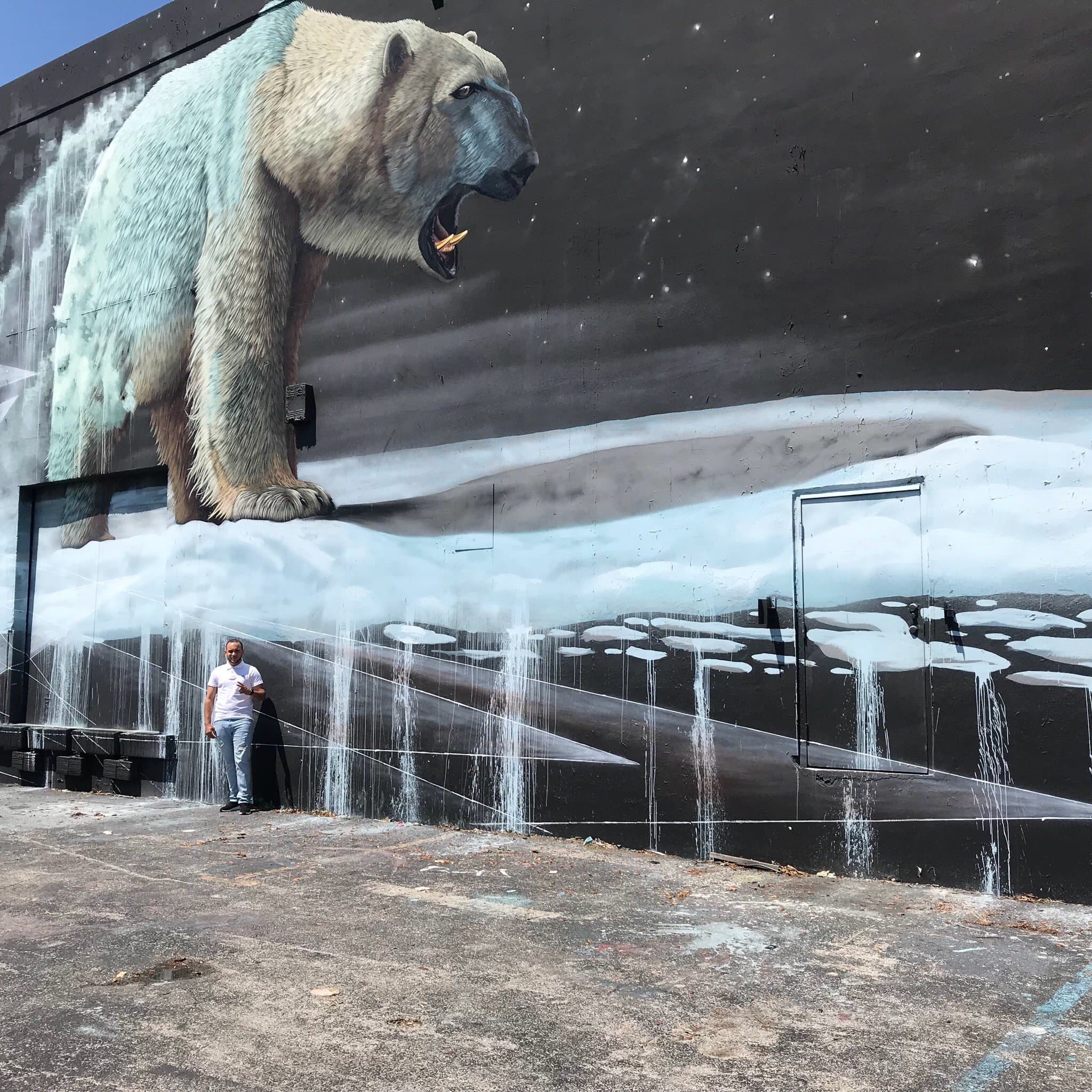 Miami Small Group City Tours of Wynwood Walls and Little Havana