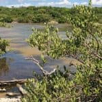 Jaragua National Park: Explore Laguna de Oviedo