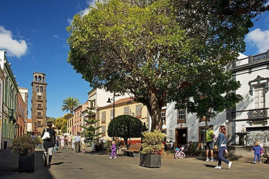 Full Day Tour of Santa Cruz and San Cristóbal de La Laguna