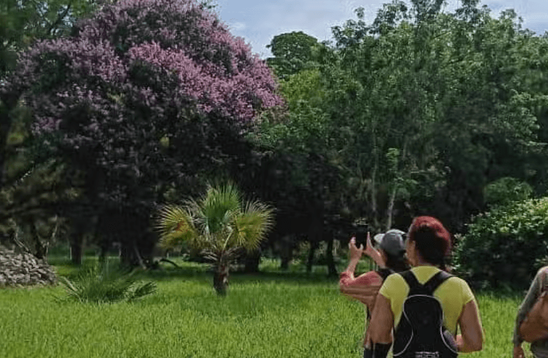 Day Trip to Cienfuegos Botanical Garden - Dominican Republic