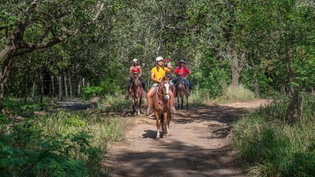 Horseback riding half day: Horsebackriding+ lunch+ hotspring - Photo 2 (Gallery view)