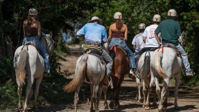 Liberia: Rainforest and Waterfalls Horseriding Tour