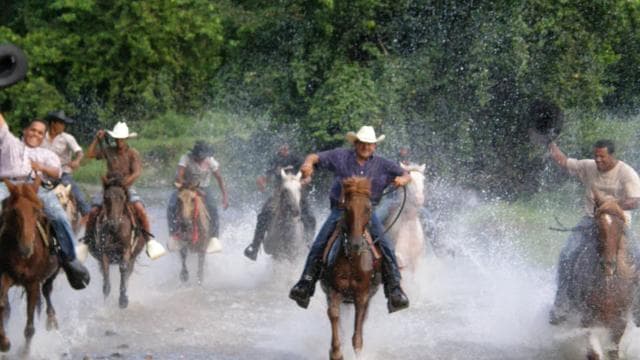 Horseback Riding Tour of Punta Cana - Photo 5 (Gallery view)