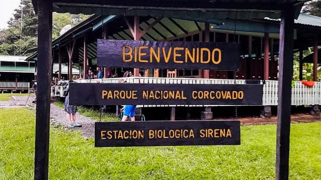 Drake Bay: tour del Parco Nazionale del Corcovado e della Stazione Sirena - Photo 5 (Gallery view)