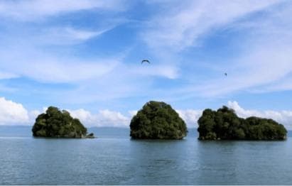 Samana: Los Haitises, Caño Hondo, Kayak Tour with Lunch - Photo 5 (Gallery view)