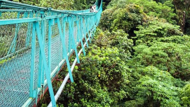 From San José: Monteverde Hanging Bridges Day Trip - Photo 5 (Gallery view)