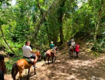 Punta Cana: Samana safari between waterfalls and beaches