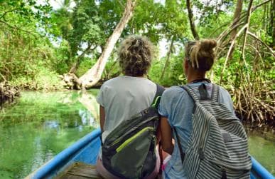 Los Haitises: Caves, Mangroves, & Rainforest Hike/Boat Tour