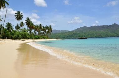 Rincon Beach and Cayo Levantado from Punta Cana - Photo 4 (Gallery view)