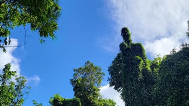 From San Juan: El Yunque Rainforest & Luquillo Kiosks Tour