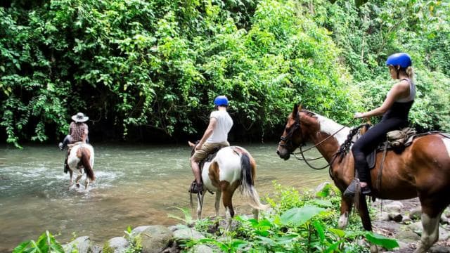 La Fortuna: Guided Horseback Riding Experience and Tour