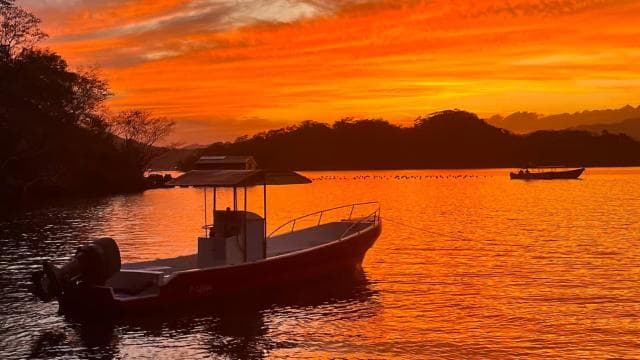 Bioluminescence Tour; Speedboat, Camping (From Puntarenas) - Photo 5 (Gallery view)