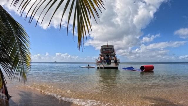 Vieque: Motorboot-Schildkröten-Schnorchel- und Strandtour mit Mittagessen - Photo 3 (Gallery view)