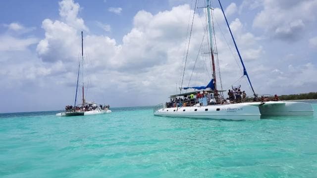 Saona Island - Paradise in the Caribbean - Photo 5 (Gallery view)