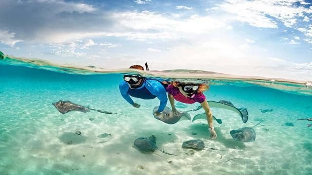 Flamingo & Tamarindo : Snorkeling at Las Catalinas Islands - Photo 3 (Gallery view)